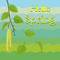 Spring background with birch catkins