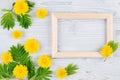 Spring background of blank wood frame, yellow dandelion flowers, young green leaves on light blue wooden board. Royalty Free Stock Photo