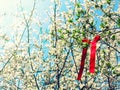 Spring background, blossom branch plum, red silk ribbon