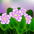 Spring background with blossom brunch of african violets flowers.