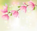 Spring background with blossom brunch of pink flowers.