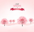 Spring background with blossoming sakura trees.