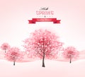 Spring background with blossoming sakura trees.