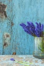 Spring background. Blue flowers in a glass vase on a blue old background fresh tulips Royalty Free Stock Photo