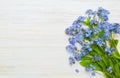 Spring background with blue forget-me-nots flowers Royalty Free Stock Photo