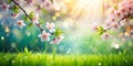 Spring Background With Bokeh Royalty Free Stock Photo