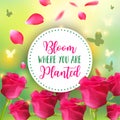 Spring background. Bokeh vector design. Bloom where you are planted. Abstract Greeting Card or Poster Design with Royalty Free Stock Photo