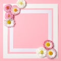 Spring background with border frame and daisy flowers in corners. Banner template for spring sales, discount. Minimalistic spring Royalty Free Stock Photo