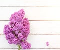 Spring background with bouquet of the flowers of lilac on white wooden boards in the sunlight Royalty Free Stock Photo