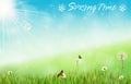 Spring background with butterflies and dragonfly in meadow Royalty Free Stock Photo