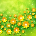 Spring background with chamomiles