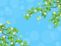 Spring background with cherry blossoms flowers branches