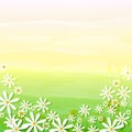 Spring flowers in beige green background