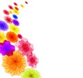 Spring background for the design of Colorful flowers Vector illustration Royalty Free Stock Photo