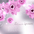 Spring background for the design of flowers Royalty Free Stock Photo