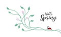 Spring background design with nature design elements of climbing ivy vines or floral design with cute lady bug