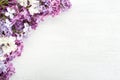 Spring background. Different tiny flowers of Lilac on the white wooden shabby background. Floral border. Flat lay