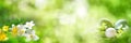 Spring background with easter eggs Royalty Free Stock Photo