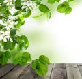 Spring Background with Empty Grey Wooden Table