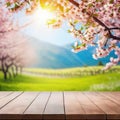 Spring background with empty wooden Natural template for product display with cherry blossoms bokeh and Wooden table in