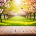 Spring background with empty wooden Natural template for product display with cherry blossoms bokeh and Wooden table in