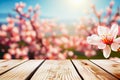 Spring background. Empty wooden table top with view of spring blossoming trees. Nature with bokeh background for product Royalty Free Stock Photo