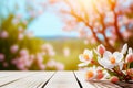 Spring background. Empty wooden table top with view of spring blossoming trees. Nature with bokeh background for product Royalty Free Stock Photo