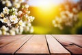 Spring background. Empty wooden table top with view of spring blossoming trees. Nature with bokeh background for product Royalty Free Stock Photo