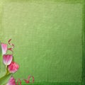 Spring background with flowers