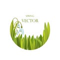 Spring background with flowers and grass, vector illustration.