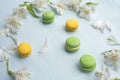 spring background with flowers and macaroons.
