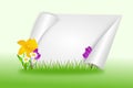 Spring background with flowers