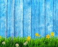 Spring background with flowers and wooden pickets