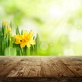 Spring background with flowers and wooden table