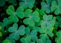 Spring background frame. Lucky Irish Four Leaf Clover. Green background with three-leaved shamrocks. St. Patrick`s day holiday sym