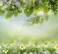 Spring background Royalty Free Stock Photo