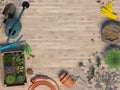 Spring background with garden tools and plants in flowerpots on the background with a wooden board. Copy space. Top view. 3D rende Royalty Free Stock Photo
