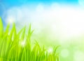 Spring background