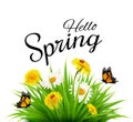 Spring background with grass, flowers and butterflies. Royalty Free Stock Photo