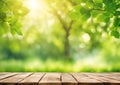 Spring background with green foliage and empty wooden table in nature. Beauty bokeh and sunlight. Royalty Free Stock Photo