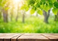 Spring background with green foliage and empty wooden table in nature. Beauty bokeh and sunlight. Royalty Free Stock Photo