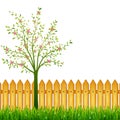 Spring background with green grass, blossoming tree and garden f Royalty Free Stock Photo