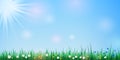 Spring background with green grass border, blue sky and bright sun shining