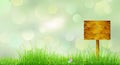 Spring background with green grass Royalty Free Stock Photo