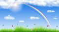 Spring background with green grass Royalty Free Stock Photo