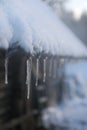 Spring background with icicles melting in the sun. Icicles close-up. Snow melting. Rustic scene in early spring Royalty Free Stock Photo