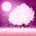 Spring background illustration Royalty Free Stock Photo