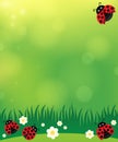 Spring background with ladybugs 2 Royalty Free Stock Photo