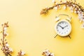 Spring background may flowers and April floral nature with alarm clock on yellow. Branches of blossoming apricot macro Royalty Free Stock Photo