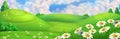 Spring background. Meadow with daisies vector illustration Royalty Free Stock Photo